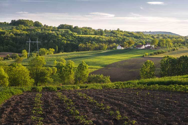 haldimand-county-pasture-raised-beef